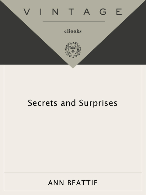 Cover image for book Secrets & Surprises