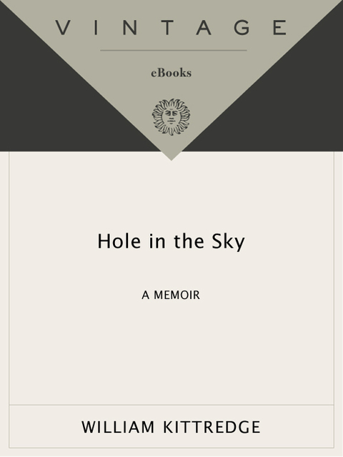 Cover image for book Hole in the Sky
