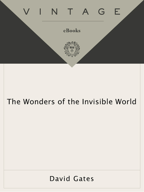 Cover image for book The Wonders of the Invisible World