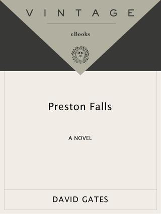 Preston Falls