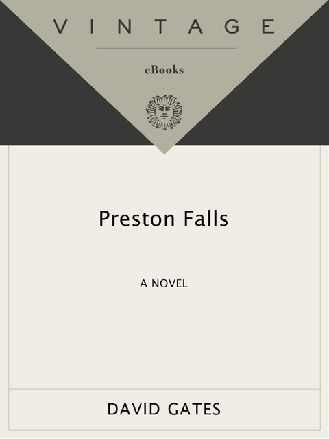 Cover image for book Preston Falls