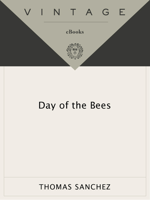 Cover image for book Day of the Bees