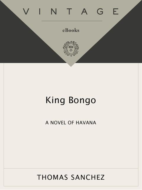 Cover image for book King Bongo