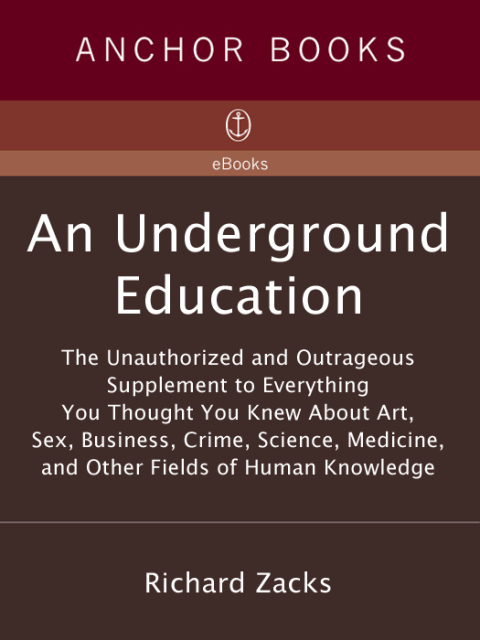 Cover image for book An Underground Education