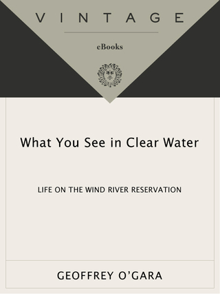 What You See in Clear Water
