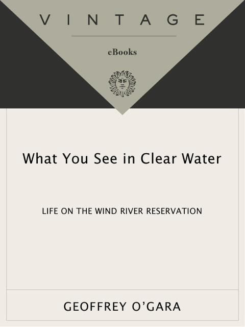 Cover image for book What You See in Clear Water