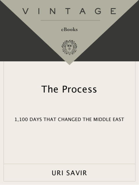 Cover image for book The Process