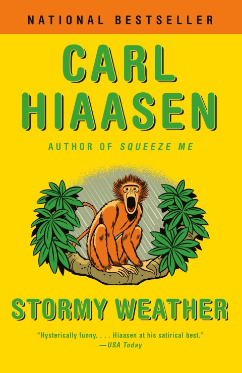 Cover image for book Stormy Weather