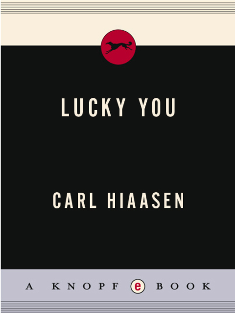 Cover image for book Lucky You