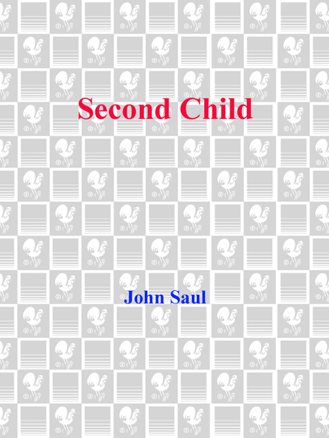 Cover image for book Second Child