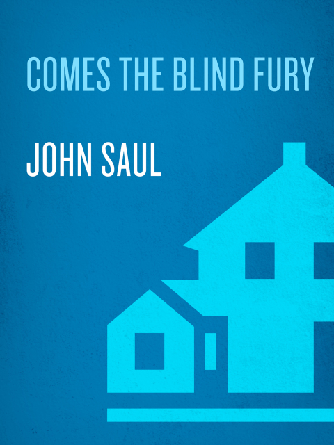 Cover image for book Comes the Blind Fury