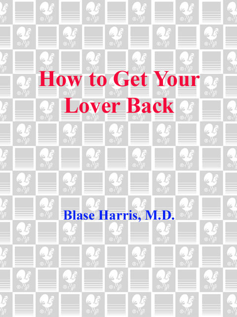 Cover image for book How to Get Your Lover Back
