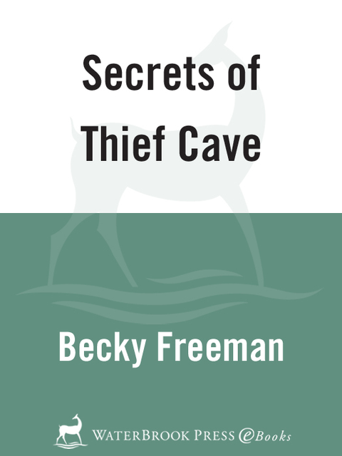Cover image for book Secrets of Thief Cave