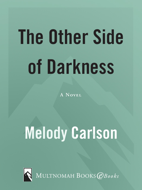 Cover image for book The Other Side of Darkness