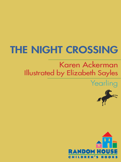 Cover image for book The Night Crossing