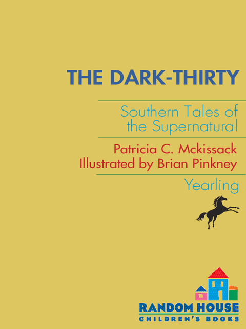 Cover image for book The Dark-Thirty