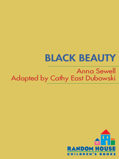Cover image for book Black Beauty
