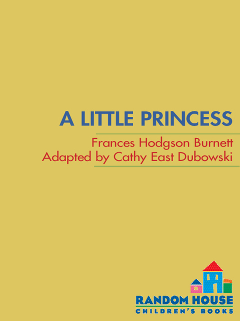 Cover image for book A Little Princess