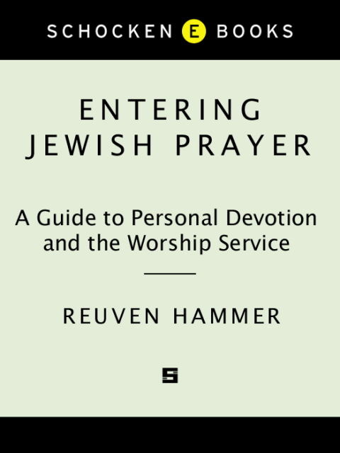 Cover image for book Entering Jewish Prayer