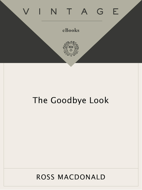 Cover image for book The Goodbye Look