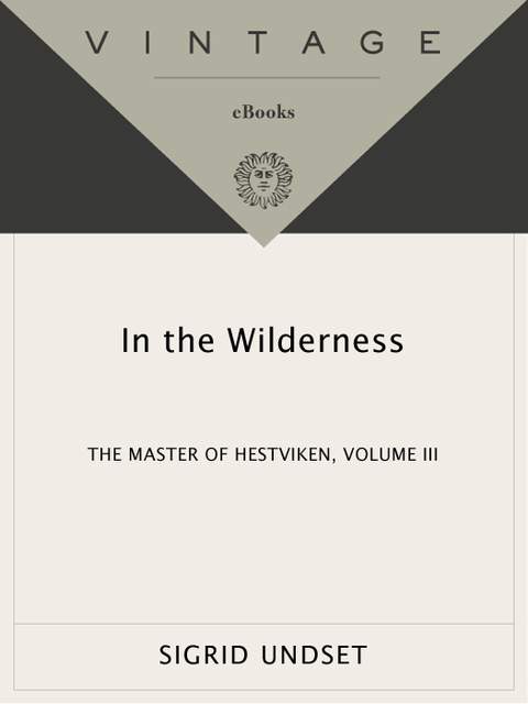 Cover image for book In the Wilderness