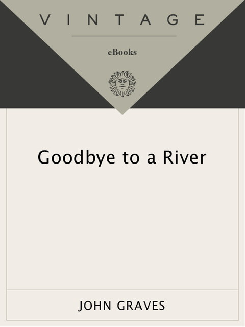 Cover image for book Goodbye to a River