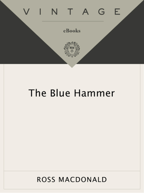 Cover image for book The Blue Hammer