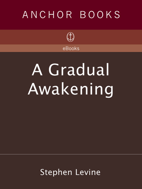 Cover image for book A Gradual Awakening