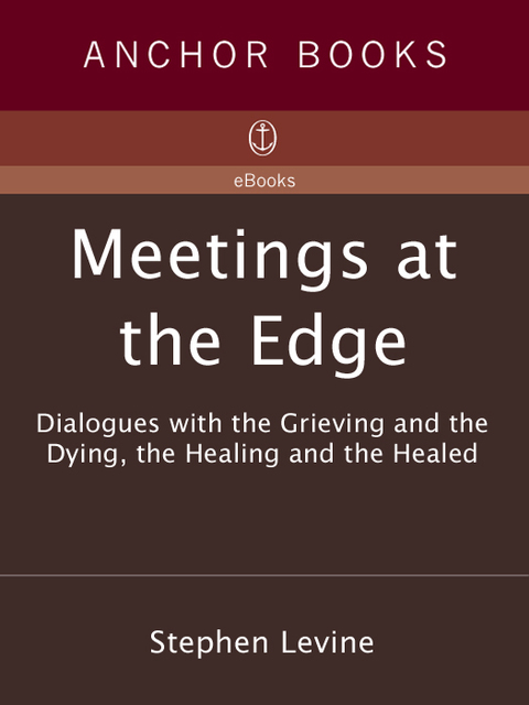 Cover image for book Meetings at the Edge