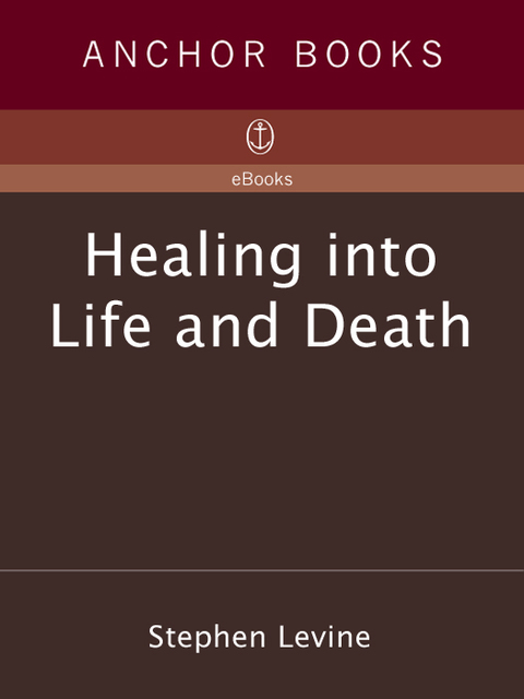 Cover image for book Healing into Life and Death