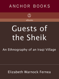 guests of the sheik
