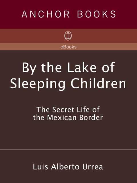 Cover image for book By the Lake of Sleeping Children