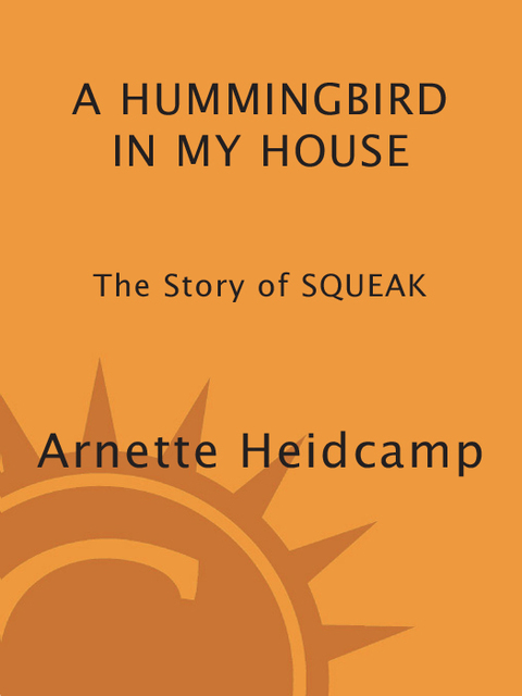 Cover image for book A Hummingbird in My House