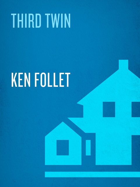 Cover image for book The Third Twin