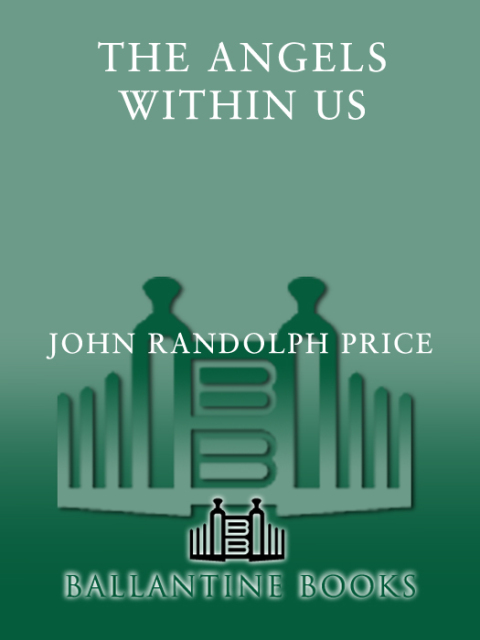 Cover image for book Angels Within Us
