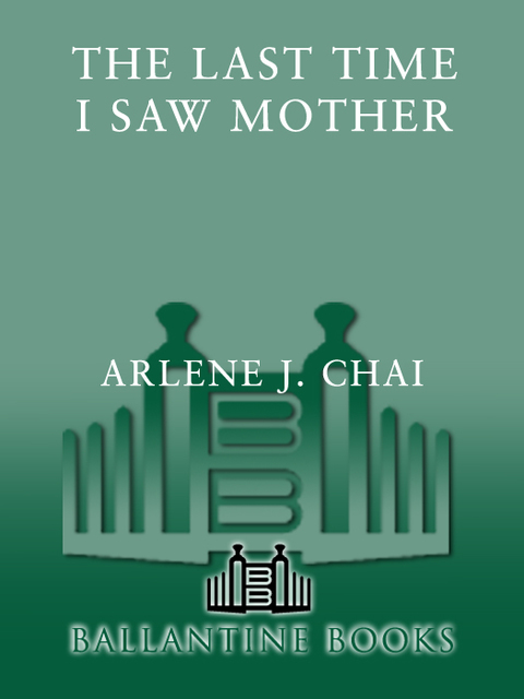 Cover image for book The Last Time I Saw Mother