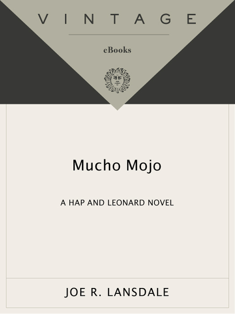Cover image for book Mucho Mojo