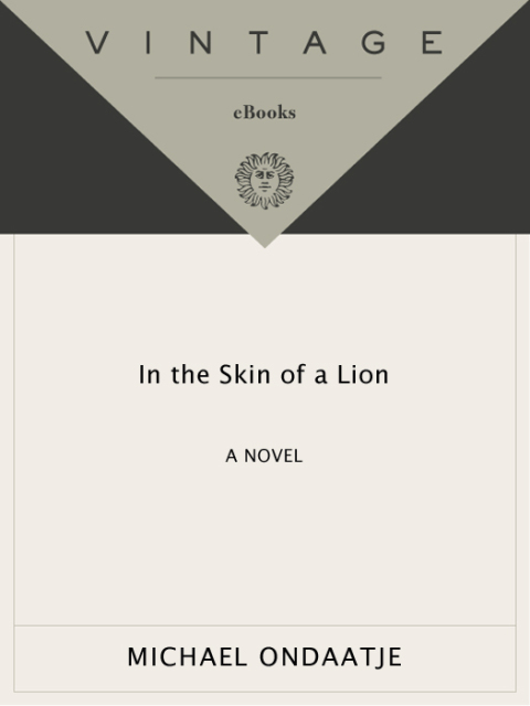 Cover image for book In the Skin of a Lion
