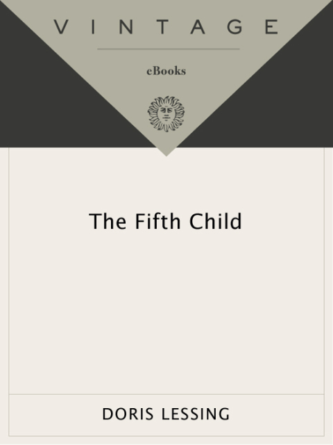 Cover image for book The Fifth Child