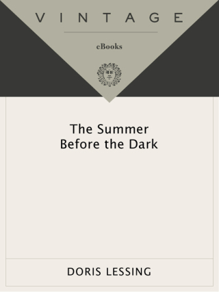 The Summer Before the Dark