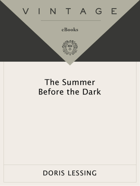Cover image for book The Summer Before the Dark