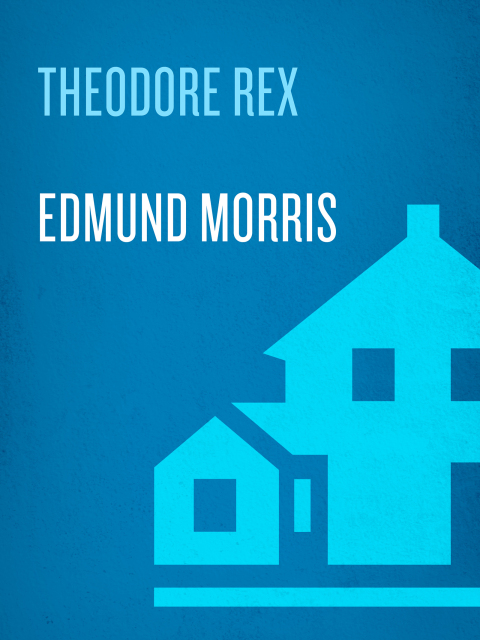 Cover image for book Theodore Rex