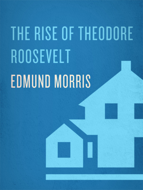 Cover image for book The Rise of Theodore Roosevelt