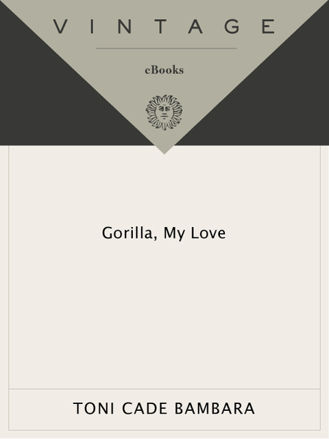 Cover image for book Gorilla, My Love