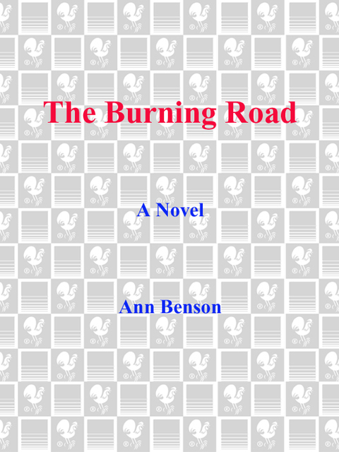 Cover image for book The Burning Road