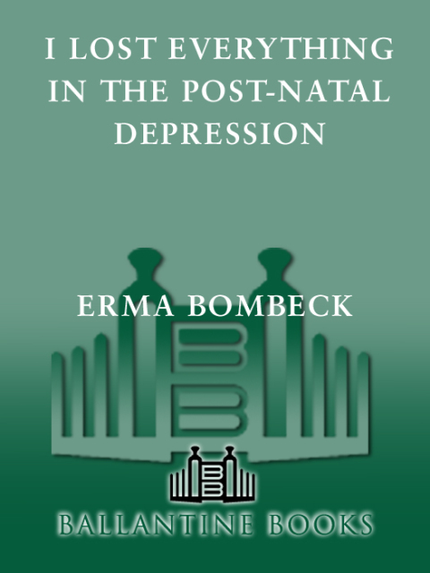 Cover image for book I Lost Everything in the Post-Natal Depression