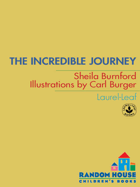 Cover image for book The Incredible Journey