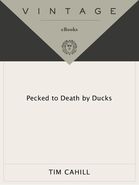 Cover image for book Pecked to Death by Ducks