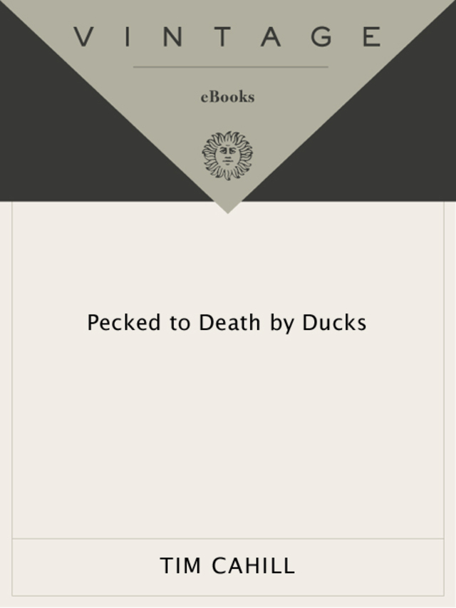 Pecked to Death by Ducks