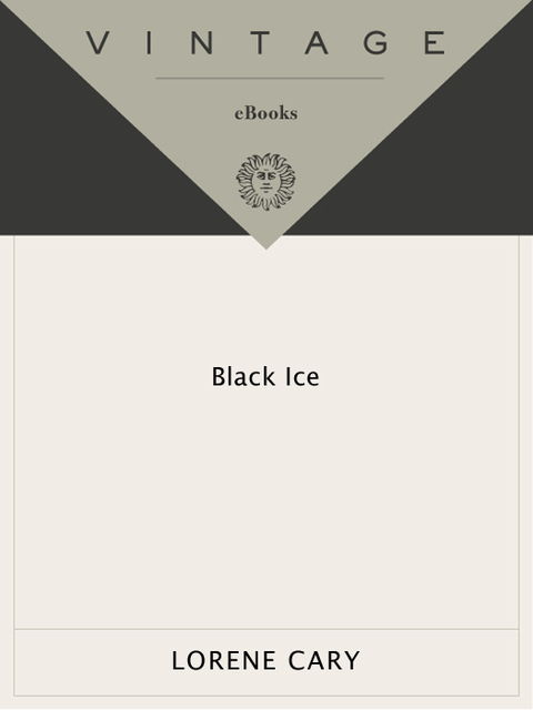 Cover image for book Black Ice
